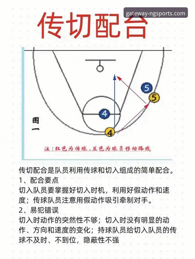 ng体育专属体验使用技巧 CBA卡位战必看!从陈国豪回避条款看赛事分析实用技巧